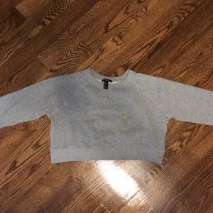 Gray Cropped Crew Neck